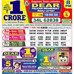 nagaland lottery result 8pm